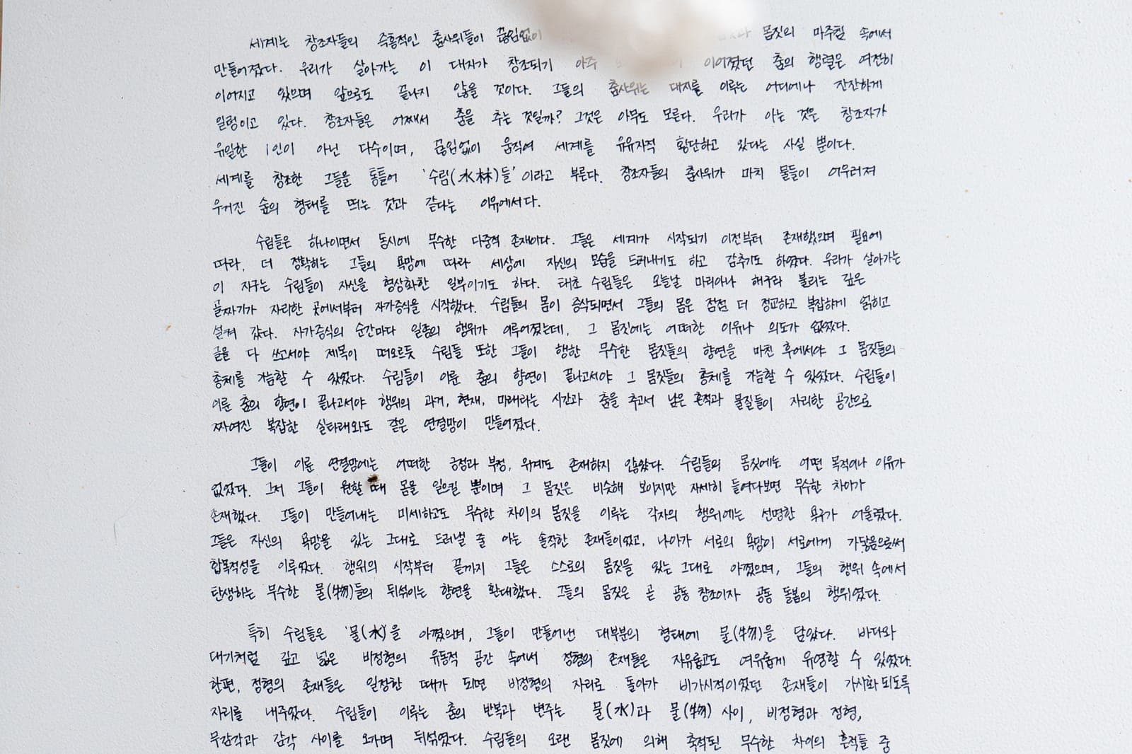 백색 수림들 3