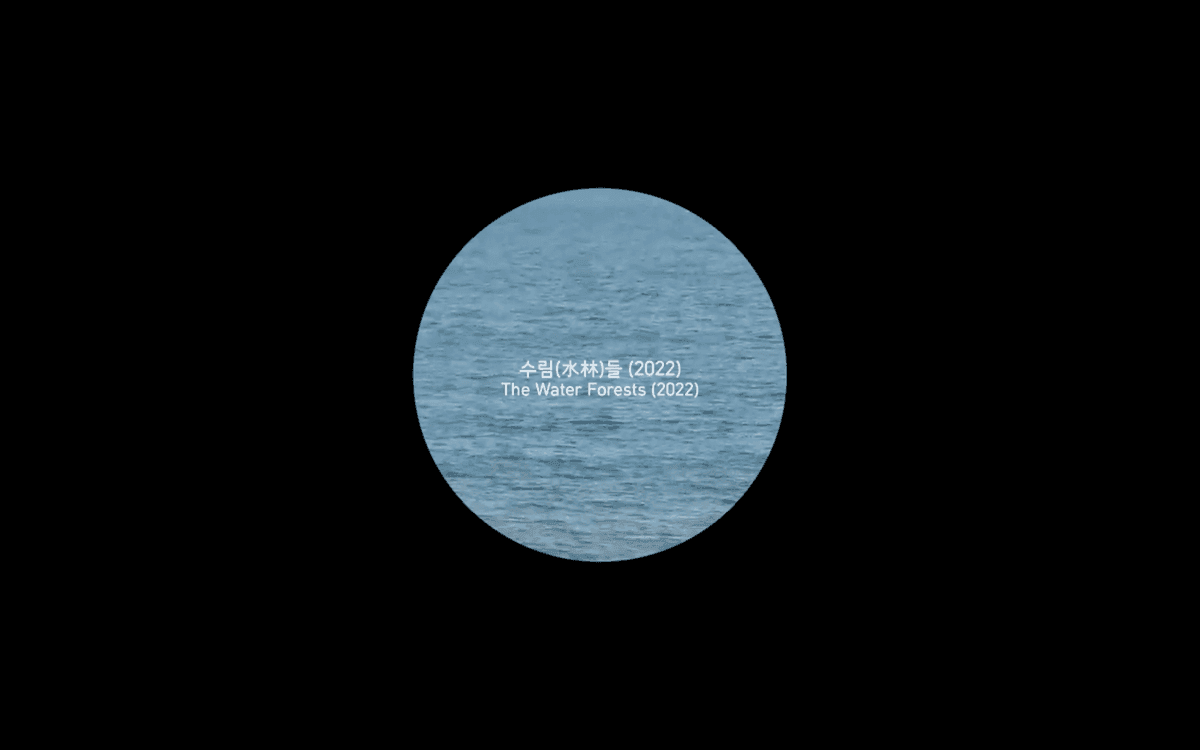 수림들