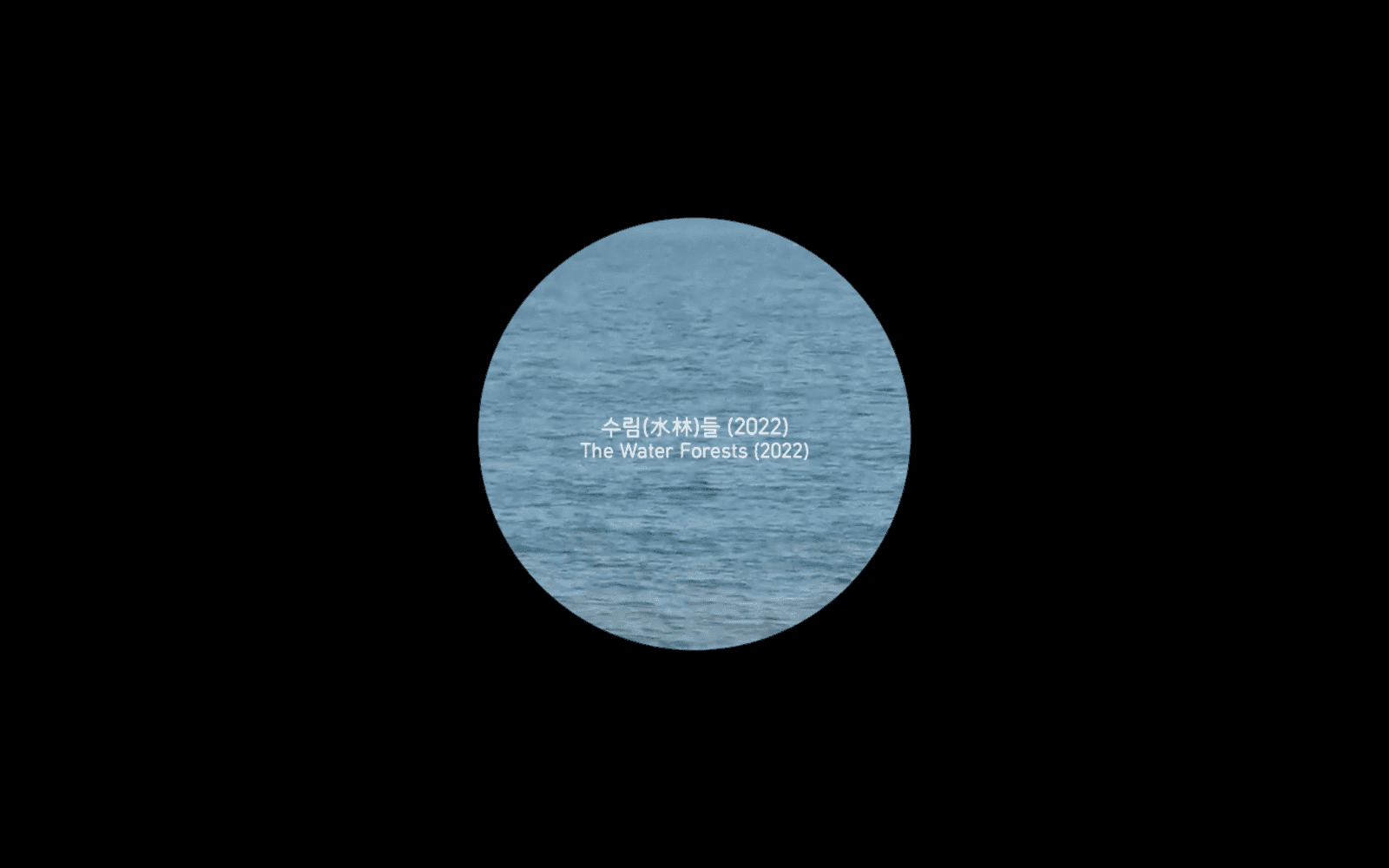 수림들 1